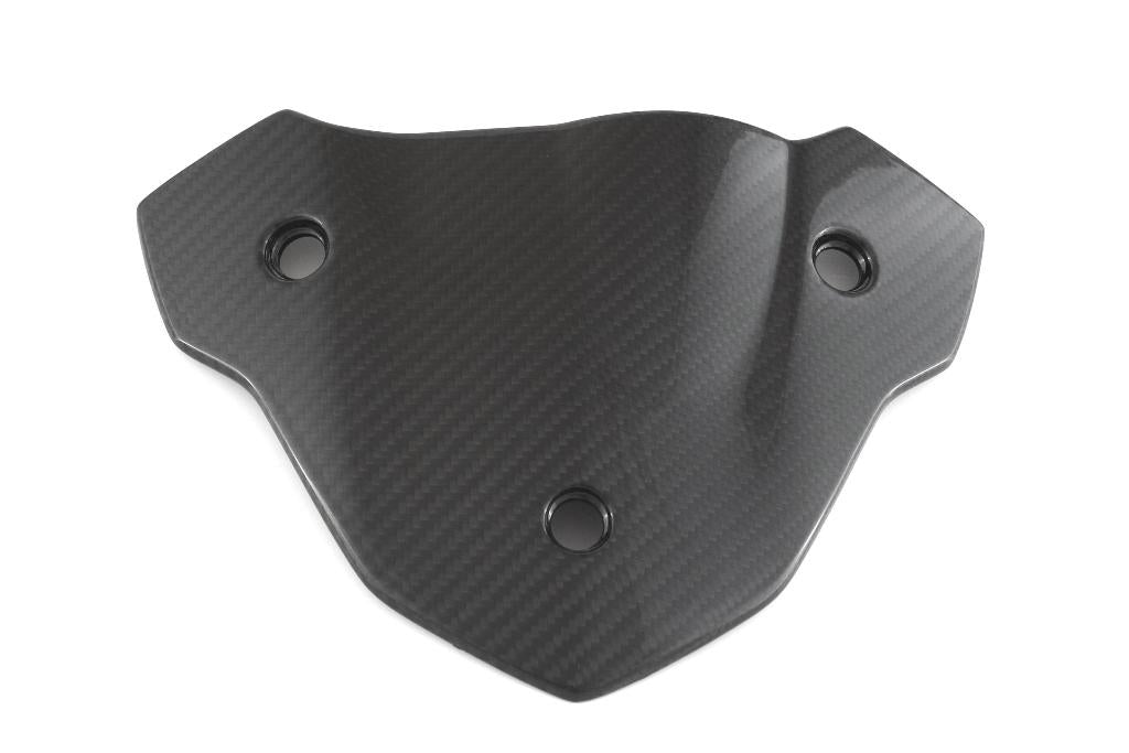 Headlight Fairing - Cover